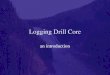 Logging Drill Core