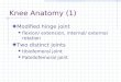 Knee Anatomy (1)