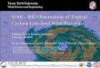 WSR – 88D Observations of Tropical Cyclone Low-level Wind Maxima