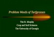 Problem Weeds of Turfgrasses