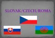 Slovak/Czech/ roma