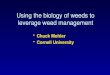 Using the biology of weeds to leverage weed management