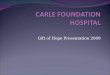 CARLE FOUNDATION HOSPITAL