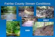 Fairfax County Stream Conditions