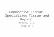 Connective Tissue, Specialized Tissue and Repair