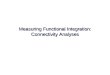 Measuring Functional Integration: Connectivity Analyses