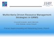 Multicriteria Driven Resource Management Strategies in GRMS