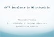 dNTP Imbalance in Mitochondria