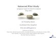 Balanced Pilot Study - progress report & interim analysis May 2011