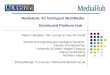MediaHub: An Intelligent MultiMedia Distributed Platform Hub