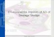 Environmental Aspects of AD of Sewage Sludge