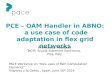 PCE – OAM Handler in ABNO:  a use case of code adaptation in flex grid networks