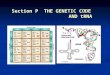 Section P  THE GENETIC CODE                   AND tRNA