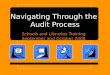 Navigating Through the  Audit Process