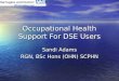 Occupational Health Support For DSE Users