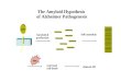 The Amyloid Hypothesis  of Alzheimer Pathogenesis