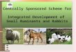 Centrally Sponsored Scheme for  Integrated Development of  Small Ruminants and Rabbits