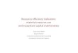 Resource efficiency indicators:  material resource use  and ecosystem capital maintenance