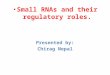 Small RNAs and their regulatory roles. Presented by: Chirag Nepal