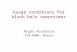 Gauge conditions for black hole spacetimes
