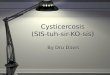 Cysticercosis (SIS-tuh-sir-KO-sis)