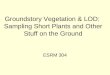 Groundstory Vegetation & LOD:  Sampling Short Plants and Other Stuff on the Ground