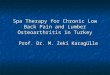 Spa Therapy for Chronic Low Back Pain  and Lumber Osteoarthritis in Turkey