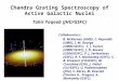 Chandra Grating Spectroscopy of Active Galactic Nuclei Tahir Yaqoob (JHU/GSFC)