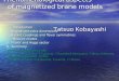 Phenomenological aspects     of magnetized brane models   Tatsuo Kobayashi
