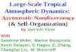 Large-Scale Tropical Atmospheric Dynamics:  Asymptotic Nondivergence  & Self-Organization