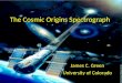 The Cosmic Origins Spectrograph