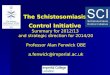 The  Schistosomiasis Control Initiative  Summary for 2012/13  and strategic direction for 2014/20