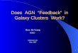 Does  AGN  “Feedback”  in Galaxy Clusters  Work?