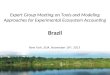 Expert Group Meeting on Tools and Modeling Approaches for Experimental Ecosystem Accounting Brazil