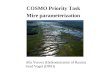 COSMO Priority Task  Mire parameterization