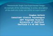 Stephen Kellett Consultant Clinical Psychologist IAPT Programme Director  University of Sheffield