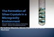 The Formation of Silver Crystals in a Microgravity Environment
