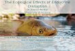 The Ecological Effects of Endocrine Disruption Dr. David Walker University of Arizona
