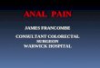 ANAL  PAIN JAMES FRANCOMBE CONSULTANT COLORECTAL SURGEON WARWICK HOSPITAL