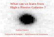 What can we learn from           High-z Passive Galaxies ?