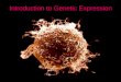 Introduction to Genetic Expression
