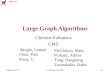 Large Graph Algorithms