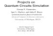 Projects on  Quantum Circuits Simulation