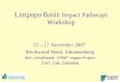 Limpopo Basin  Impact Pathways Workshop