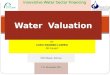 Water  Valuation