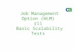 Job Management Option (WLM) r11  Basic Scalability Tests