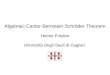 Algebraic Cantor-Bernstein-Schröder Theorem Hector Freytes Università Degli Studi di Cagliari