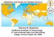 Networks and Grids for Global Science