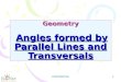 Geometry Angles formed by Parallel Lines and Transversals