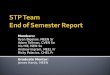 STP Team End of Semester Report